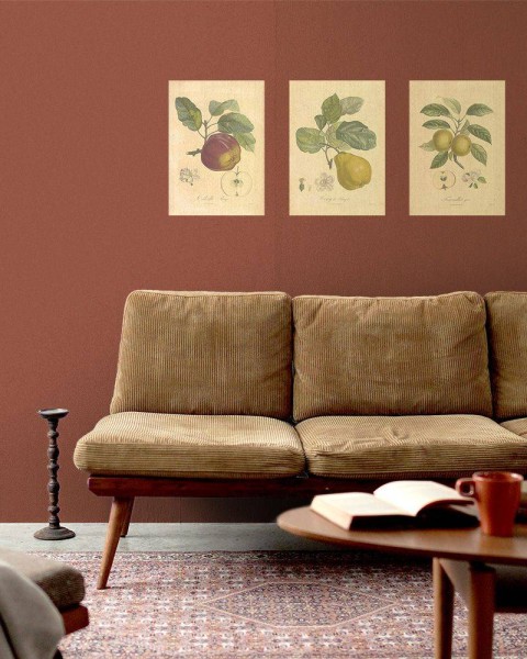 Flax Art Poster | Encyclopedia Apple A | FWP-AP-EN6A